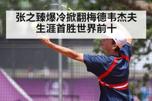张之臻爆冷掀翻梅德韦杰夫 生涯首胜世界前十