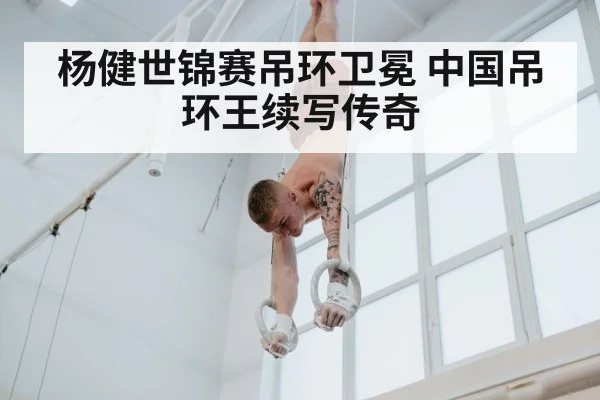 杨健世锦赛吊环卫冕 中国吊环王续写传奇