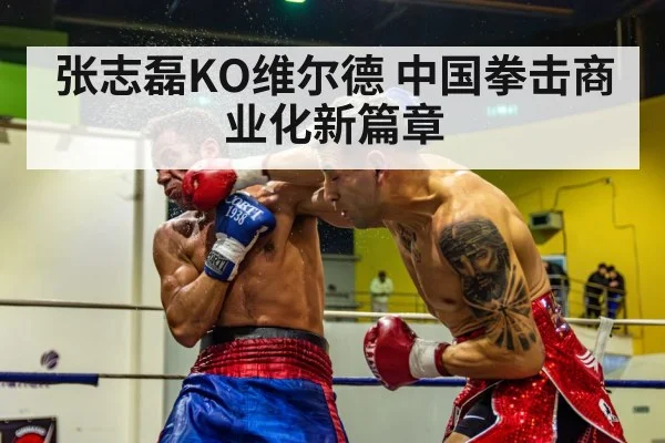 张志磊KO维尔德 中国拳击商业化新篇章